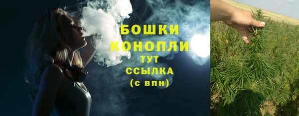 mix Бородино