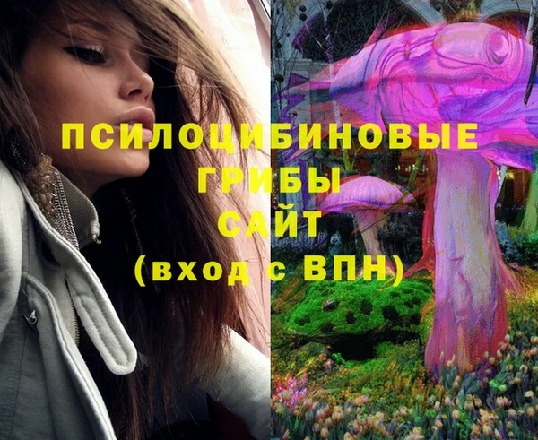 mix Бородино