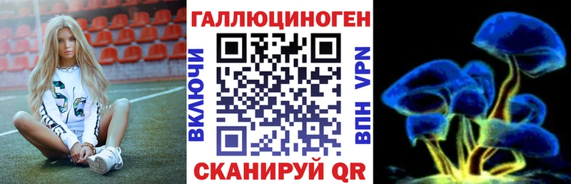 hydra ТОР  Кинель  Галлюциногенные грибы ЛСД 